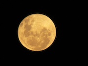 Moon, handheld FZ50