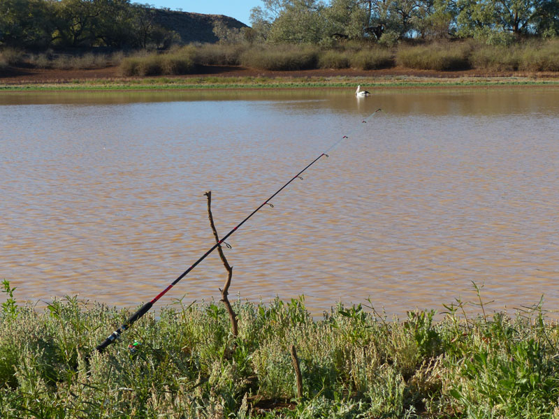 fishing