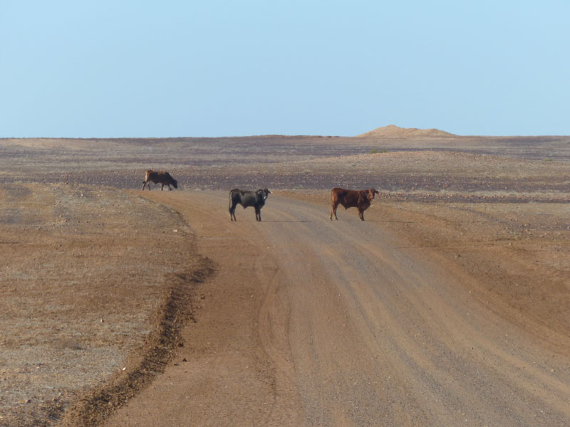 road
