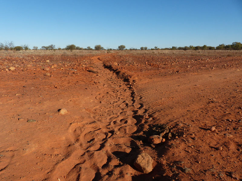 trail