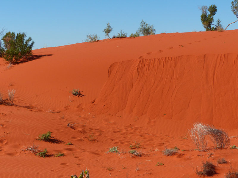 dune