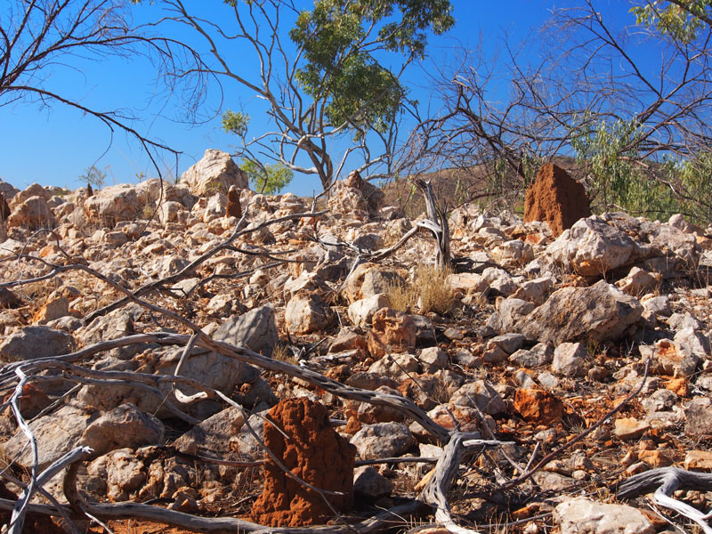 Rocks
