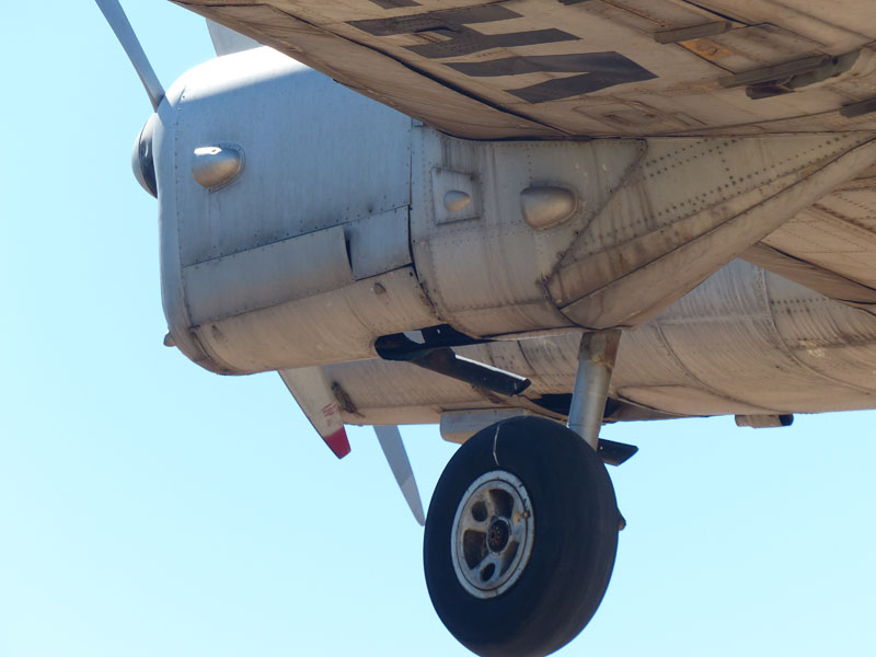 De Havilland