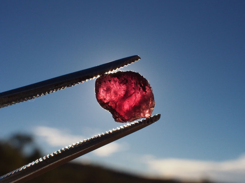 Garnet