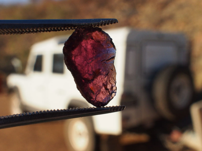 Garnet