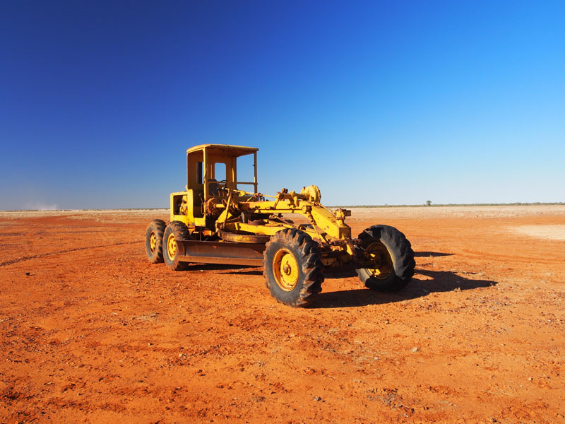 Cat Grader