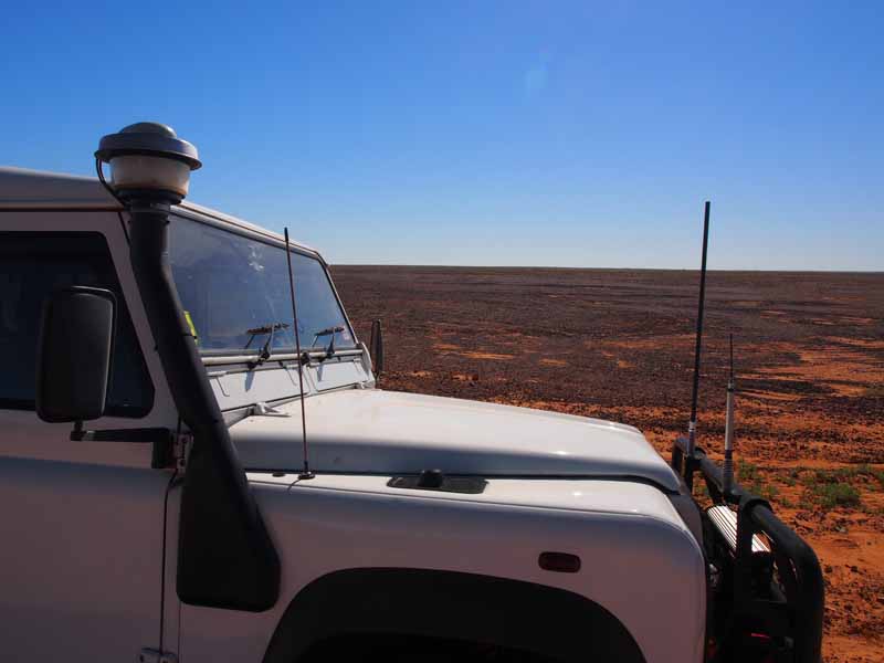 landy