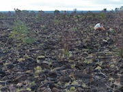 Basalt Byway