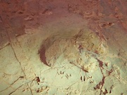 Dinosaur Footprints