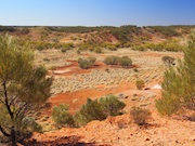 Lark Quarry