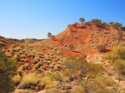 Lark Quarry