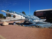 Kronosaurus Korner