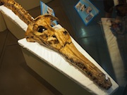 Pilosaur