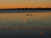 lake sunset 