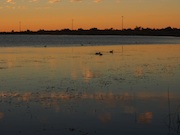 lake sunset