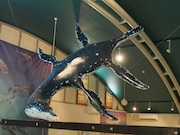 Pilosaur