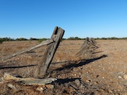 Old Fence