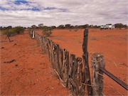 old gate