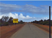 RFDS strip