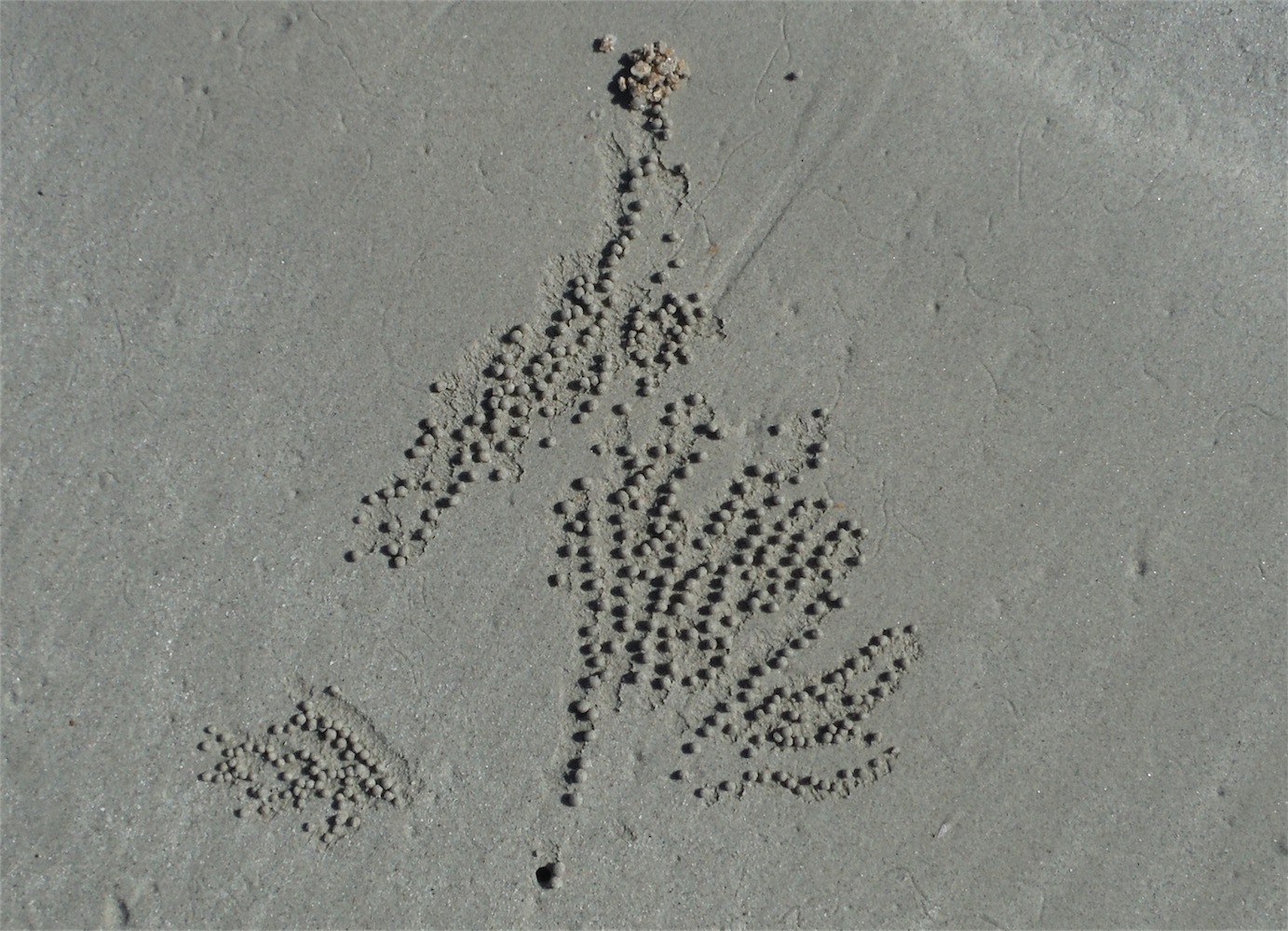 sandballs