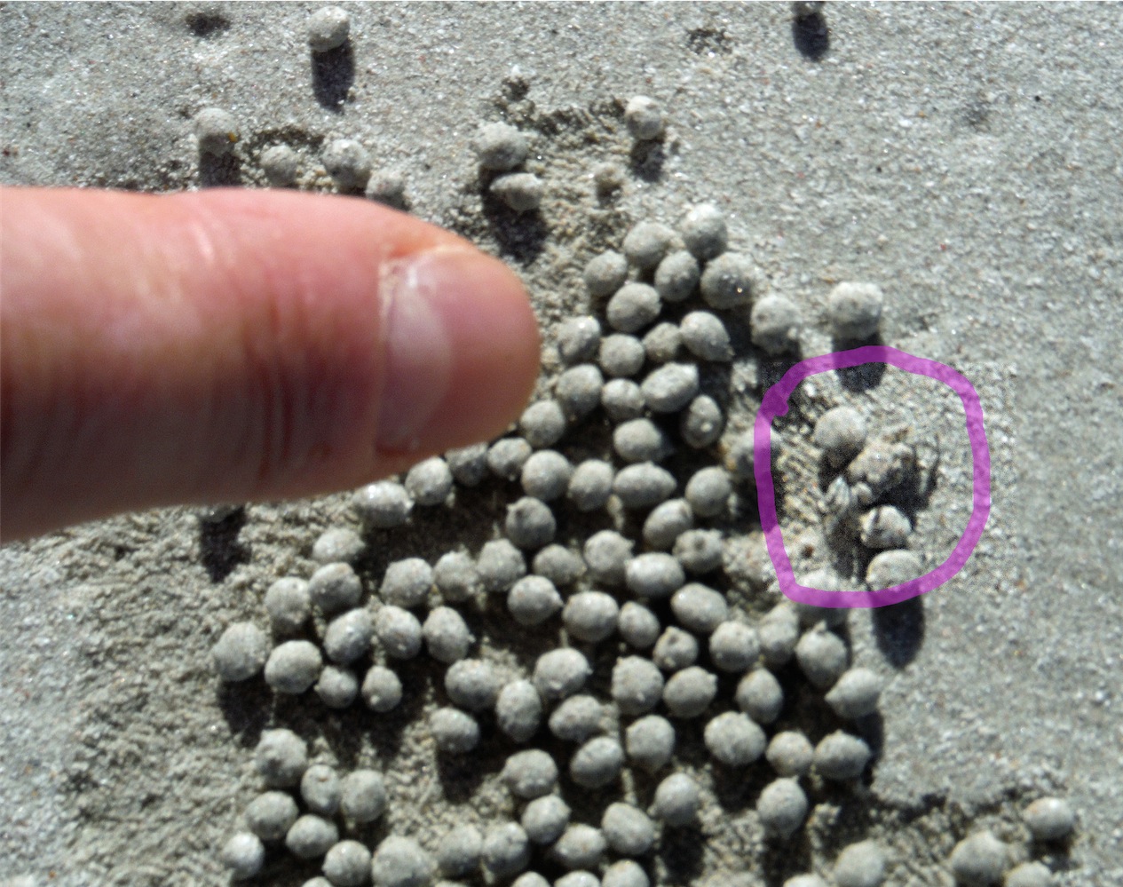 sand bubbler