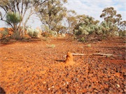 ant volcano