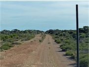 Shearing Shed