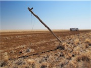 telegraph pole