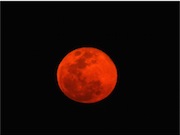 Blood Moon